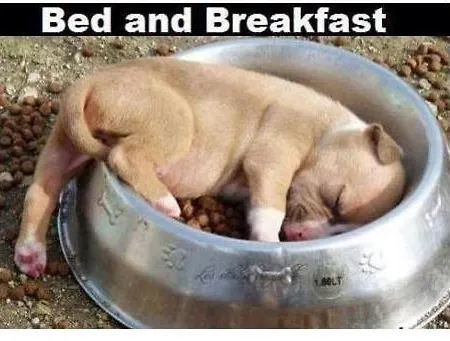 B&b4pi Oda ve Kahvaltı *
